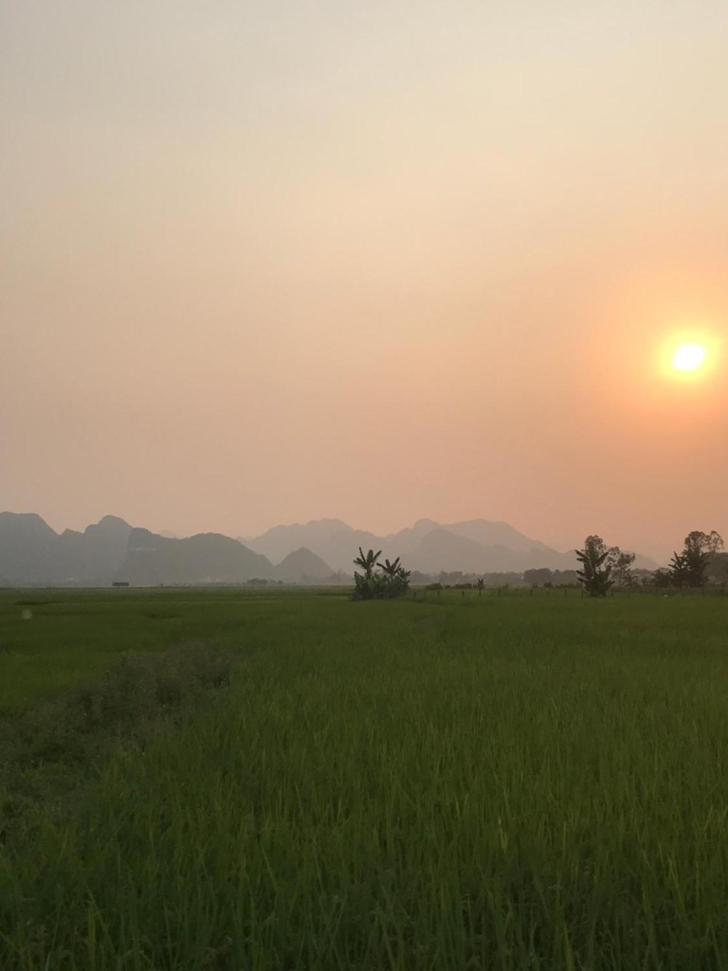 Happy Field Homestay Phong Nha Eksteriør bilde